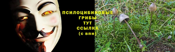 стафф Абинск