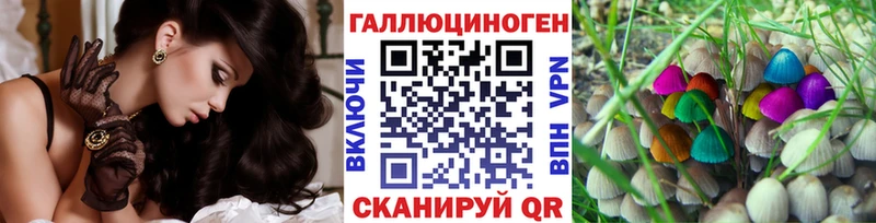 kraken как зайти  Красноармейск  Галлюциногенные грибы мицелий 